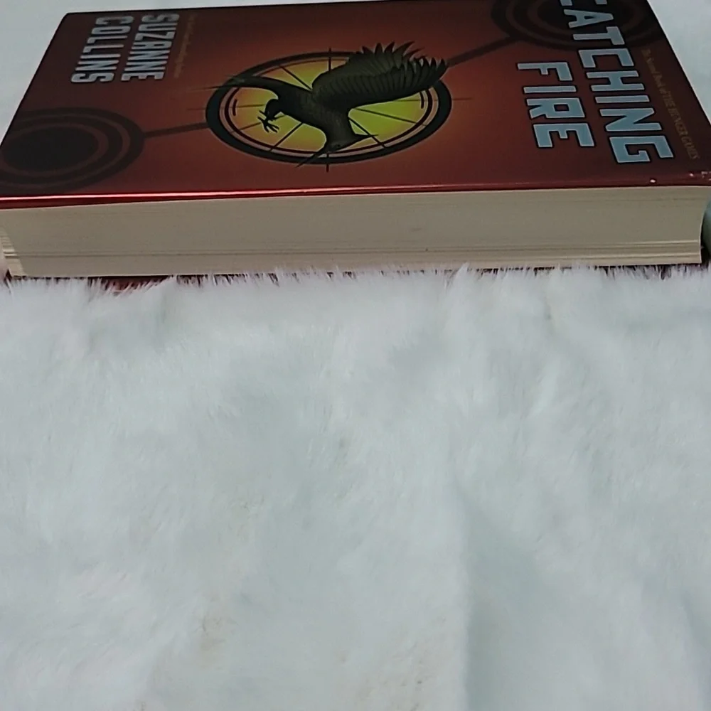 Catching Fire - Picture 3 of 5